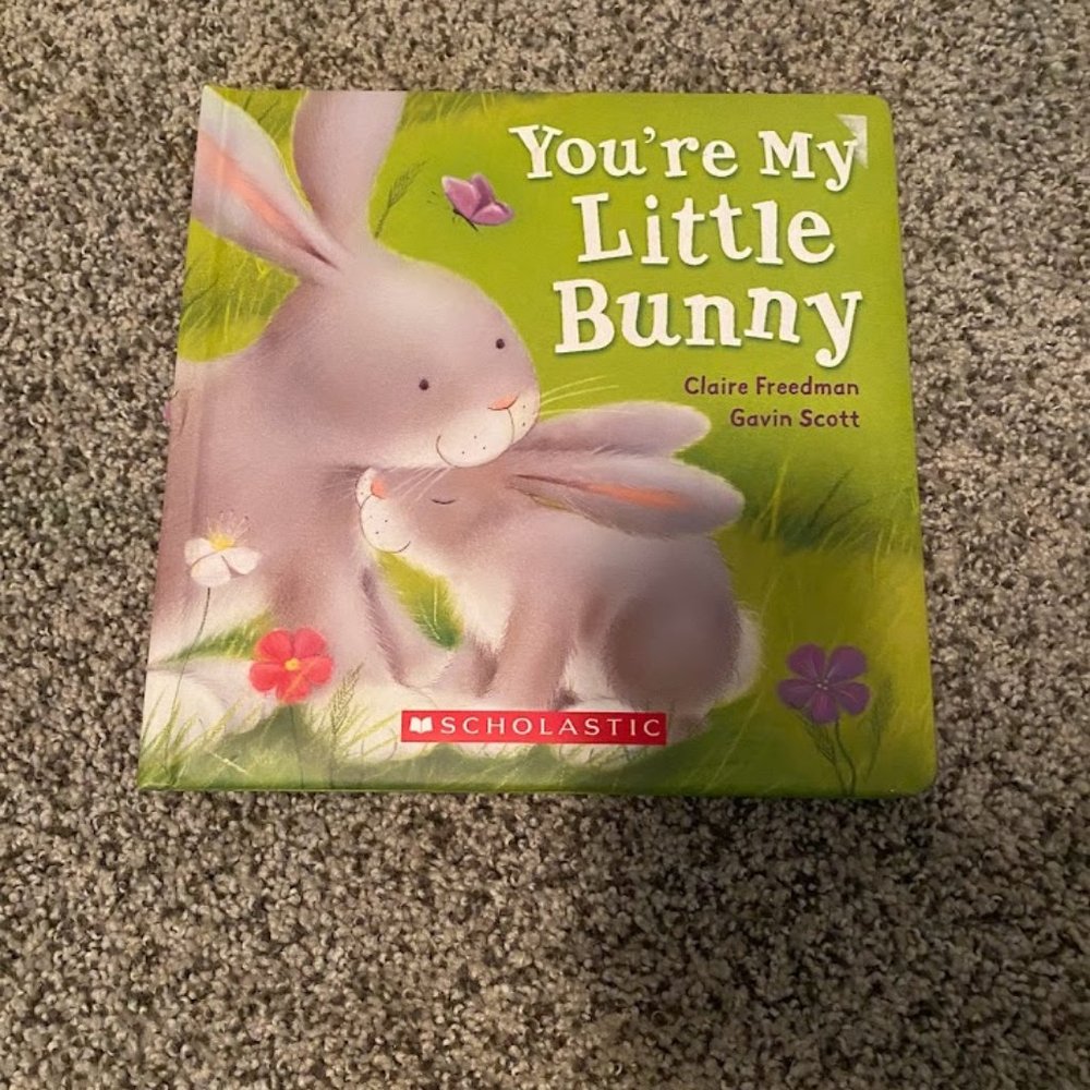 You're my Little Bunny Children's Book